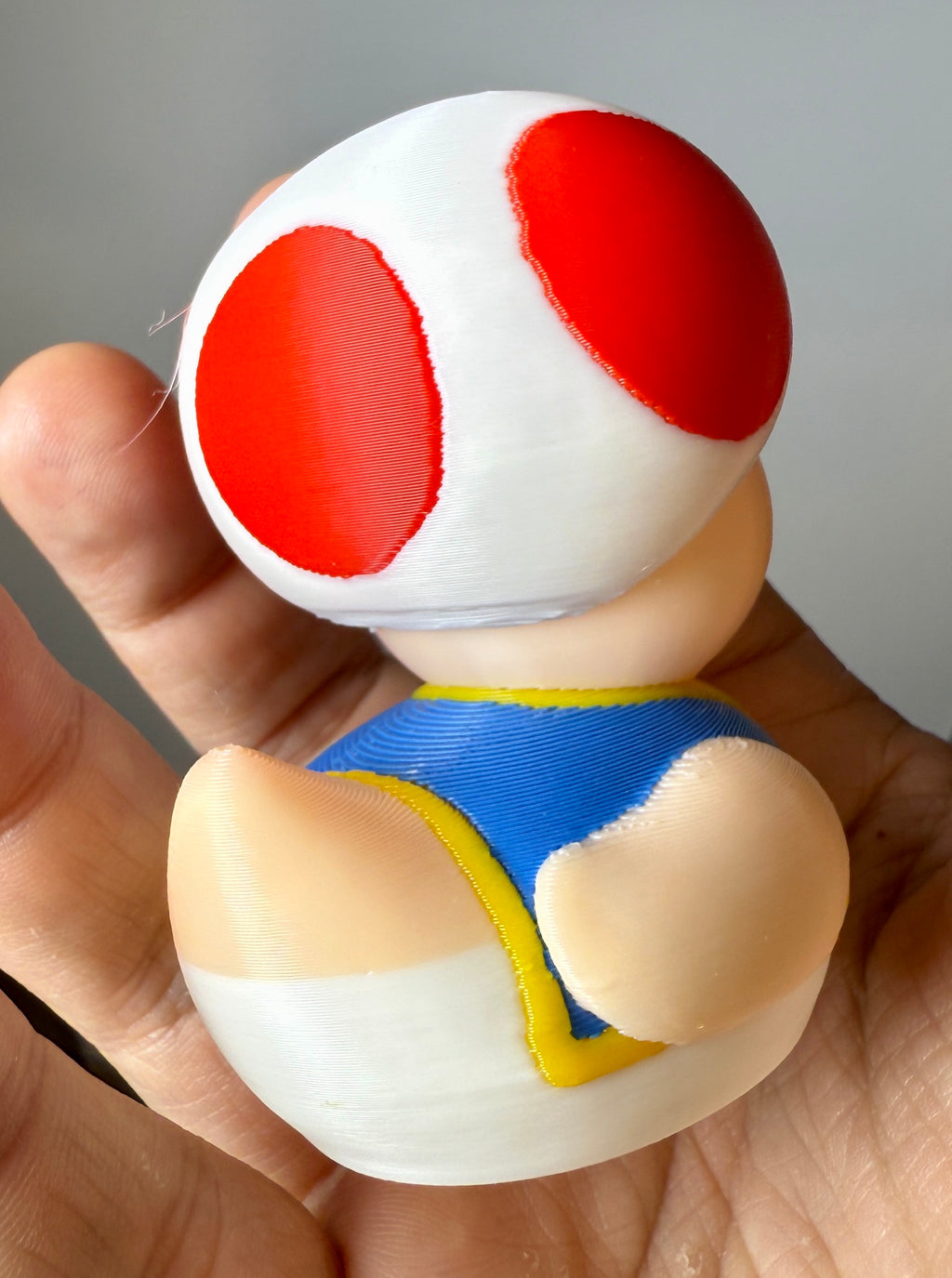 ToadDuck 3D Printed Figure