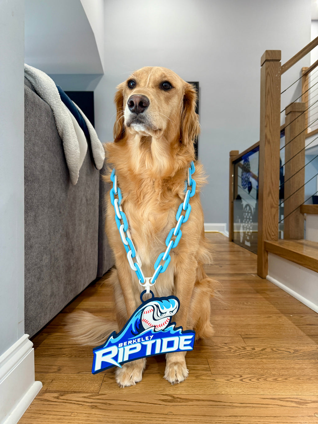 Custom Fan Chains Choose Your Design