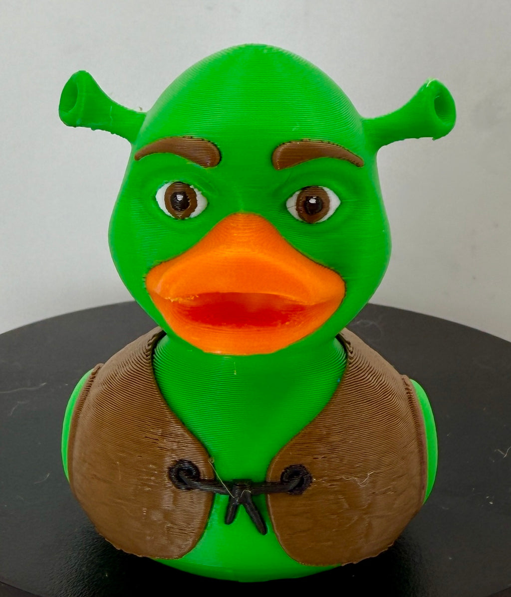 ShrekDuck 3D Printed Figure