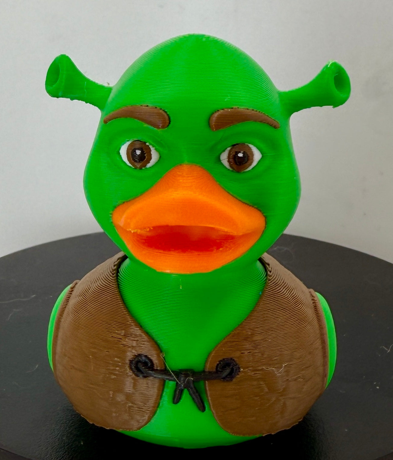 ShrekDuck 3D Printed Figure