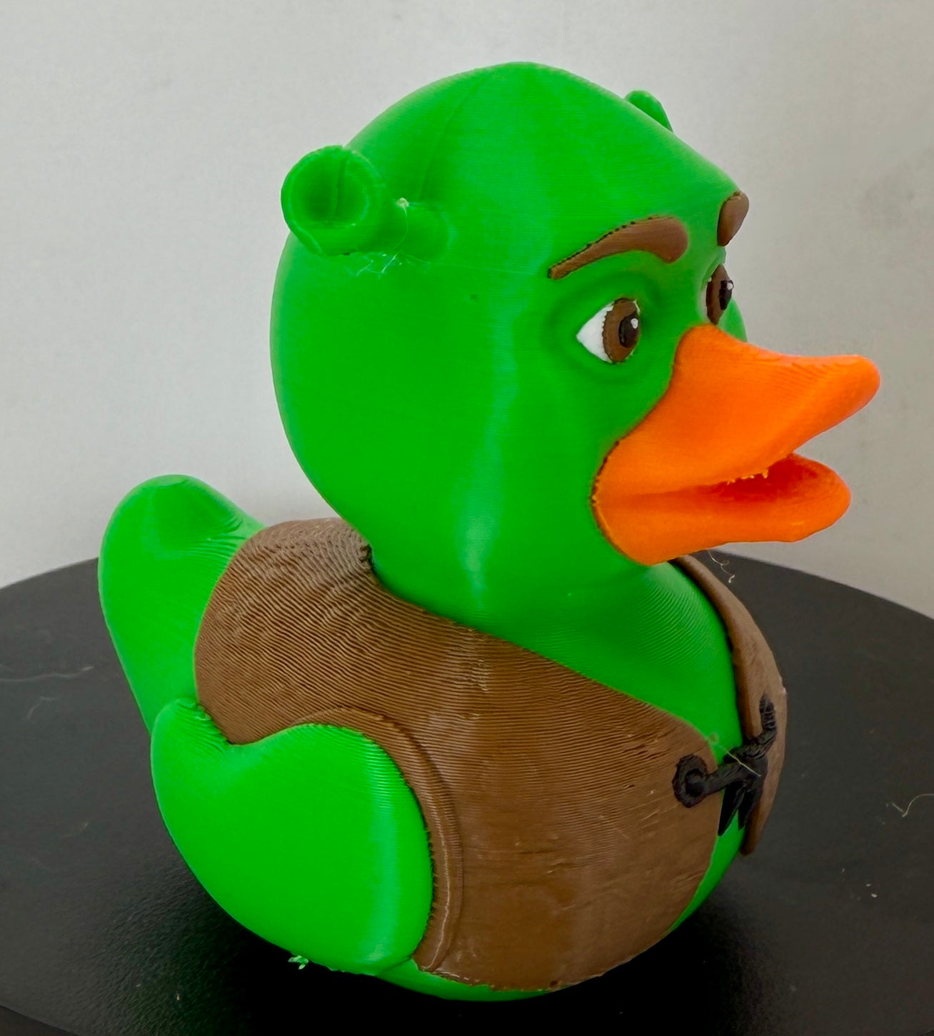ShrekDuck 3D Printed Figure